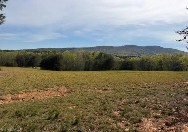 Homes for sale in Danbury, NC | 0 Crestview Rd, Danbury, NC 27016 | MLS# 1215580