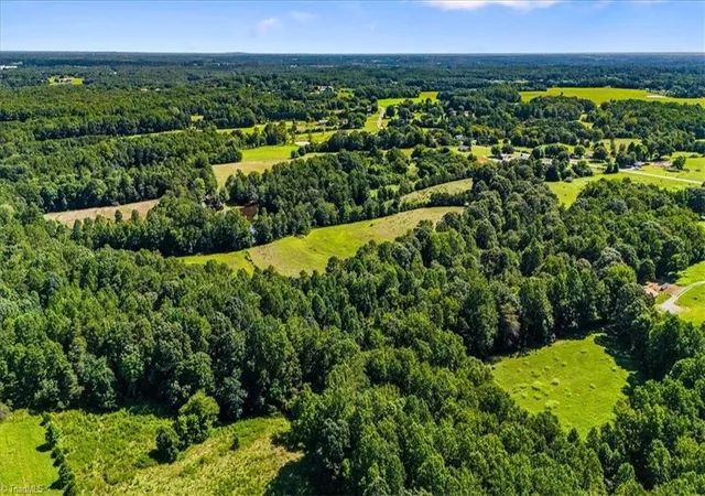 4th image of 1740 Nc Hwy 61 S, Whitsett, NC 27377 | MLS# 1189754