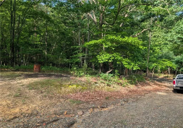 Homes for sale in Danbury, NC | 1040 Artists Way Rd, Danbury, NC 27016 | MLS# 1223383