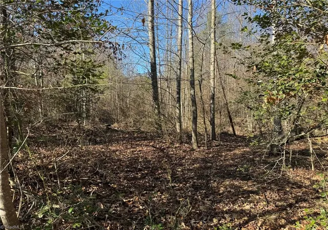 Photo 48 of Land for sale at 001 Rock Crk Ch Rd, North Wilkesboro, NC 28659 | MLS# 1205150 | Listing updated on 2026-04-28
