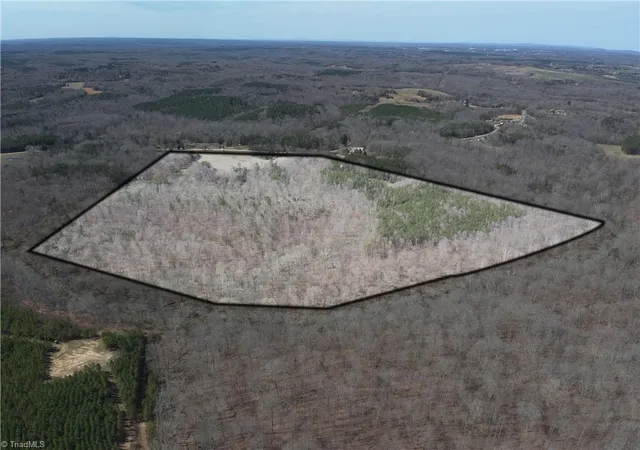 3rd image of 0 Doll Branch Rd, Milton, NC 27305 | MLS# 1212300