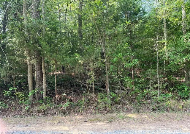 Homes for sale in Sophia, NC | 0 Silver Maple Rd, Sophia, NC 27350 | MLS# 1225490