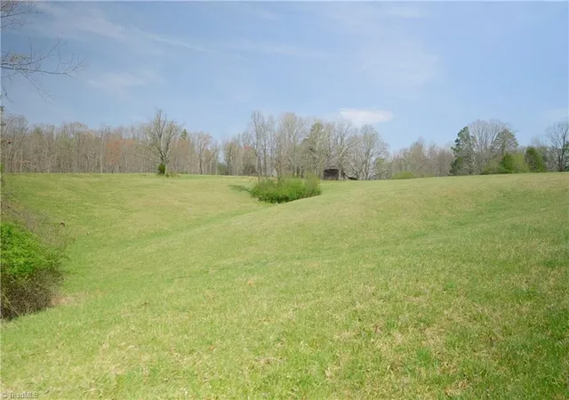 5th image of 1019-11 George Rd, Westfield, NC 27053 | MLS# 1215705