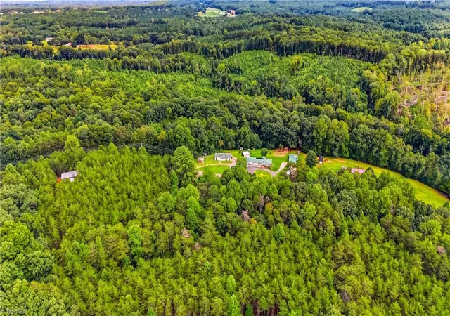 4th image of 3028 Quaker Church Rd, Pinnacle, NC 27043 | MLS# 1230817