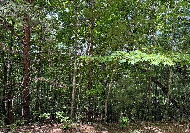 Homes for sale in Purlear, NC | Lot 132a Warren Wy, Purlear, NC 28665 | MLS# 1222518
