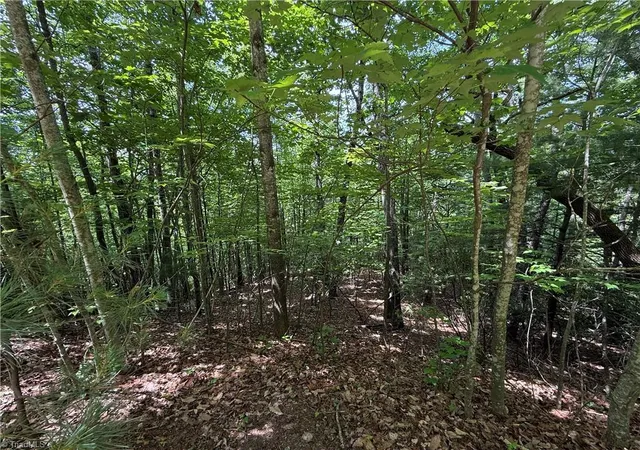 Homes for sale in Purlear, NC | Lot 132a Warren Wy, Purlear, NC 28665 | MLS# 1222518