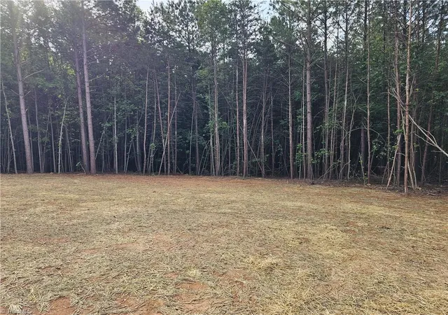 Homes for sale in Mount Airy, NC | 972 Mcbride Rd, Mount Airy, NC 27030 | MLS# 1224941