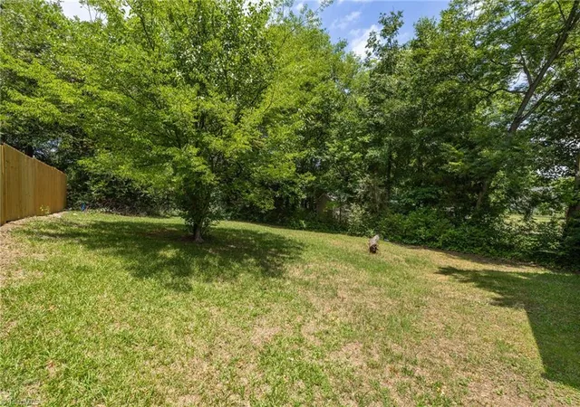 10th image of 807 Julian St, Greensboro, NC 27405 | MLS# 1225699