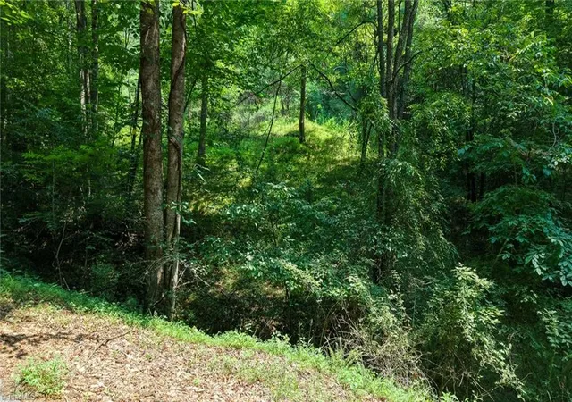 Photo 4 of Land for sale at 0 Rocky Point Rd, Wilkesboro, NC 28697 | MLS# 1230095 | Listing updated on 2026-09-25