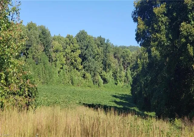 Photo 4 of House for sale at 0 Reid Rd #1, King, NC 27021 | MLS# 1228935 | Listing updated on 2026-08-25