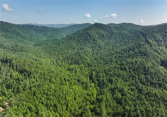 Photo 3 of Land for sale at 0000 Boone Trl, North Wilkesboro, NC 28659 | MLS# 1228163 | Listing updated on 2026-08-29