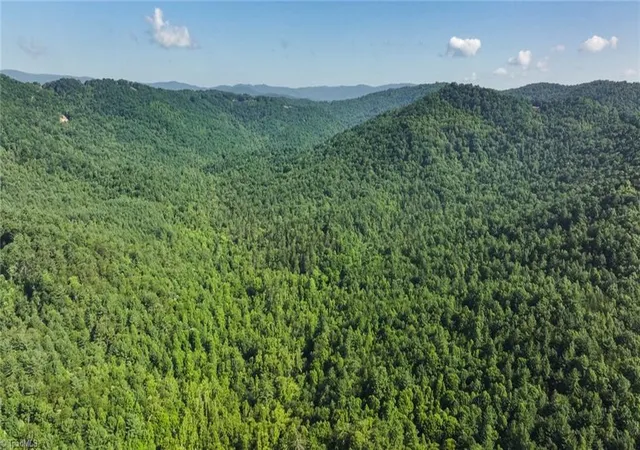 Photo 5 of Land for sale at 0000 Boone Trl, North Wilkesboro, NC 28659 | MLS# 1228163 | Listing updated on 2026-08-29