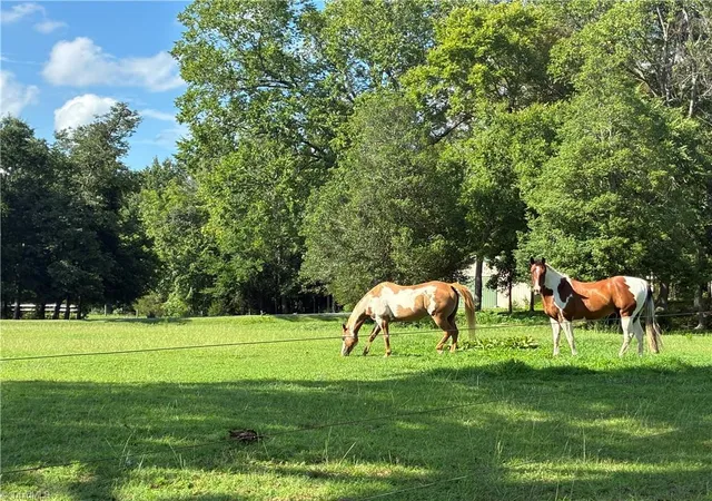 2nd image of 6967 Garrett Store Rd, Liberty, NC 27298 | MLS# 1230024