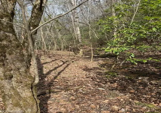 Photo 3 of Land for sale at 00 Seven Is Rd, Danbury, NC 27016 | MLS# 1215555 | Listing updated on 2026-09-09