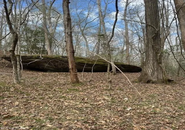 Photo 3 of Land for sale at 00 Seven Is Rd, Danbury, NC 27016 | MLS# 1215555 | Listing updated on 2026-09-09