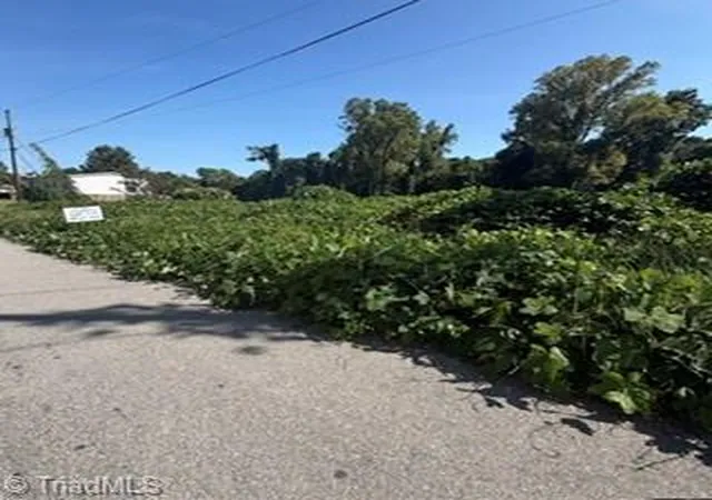Photo 1 of Land for sale at 170 Willow St, Reidsville, NC 27320 | MLS# 1233245 | Listing updated on 2026-08-26