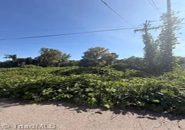 Photo 2 of Land for sale at 170 Willow St, Reidsville, NC 27320 | MLS# 1233245 | Listing updated on 2026-08-26