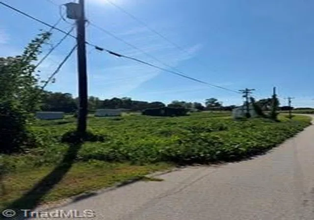 Photo 3 of Land for sale at 170 Willow St, Reidsville, NC 27320 | MLS# 1233245 | Listing updated on 2026-08-26