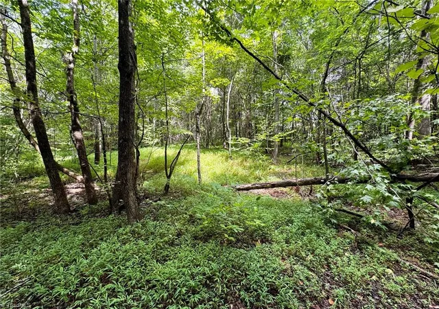 Photo 2 of Sale Pending at Lot 2 Cypress Dr, Reidsville, NC 27320 | MLS# 1228573 | Listing updated on 2026-09-10