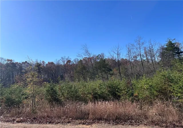 Homes for sale in Sandy Ridge, NC | 5 Stephens Trail Rd, Sandy Ridge, NC 27046 | MLS# 1202085