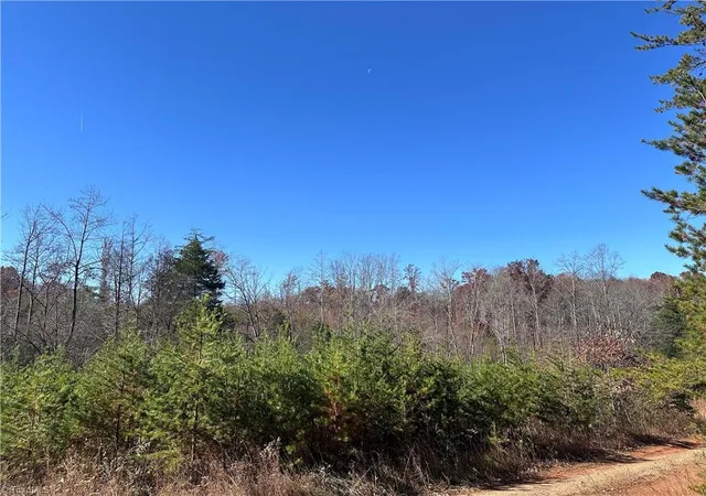 Homes for sale in Sandy Ridge, NC | 5 Stephens Trail Rd, Sandy Ridge, NC 27046 | MLS# 1202085