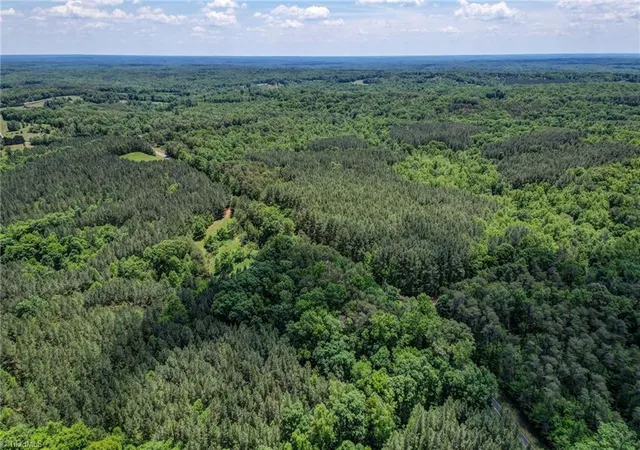 4th image of 0 Garrett Rd, Stoneville, NC 27048 | MLS# 1225289