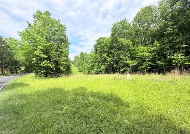 Homes for sale in Robbins, NC | Tbd Tract B Bellview Rd, Robbins, NC 27325 | MLS# 1224274