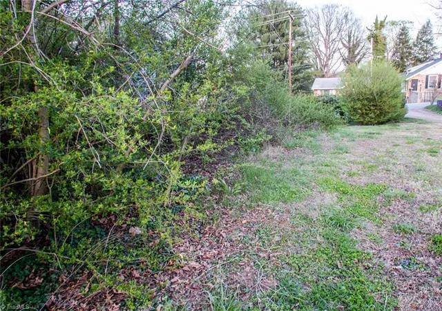 3rd image of 0 N Cameron Ave, Winston Salem, NC 27101 | MLS# 1213473