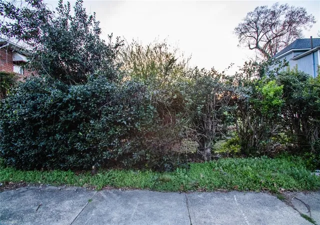 5th image of 0 N Cameron Ave, Winston Salem, NC 27101 | MLS# 1213473