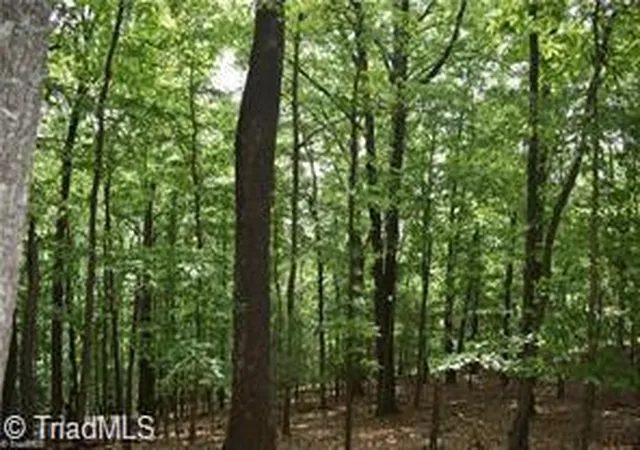 Photo 1 of Land for sale at 4 Greenstreet Dr, Traphill, NC 28685 | MLS# 1231801 | Listing updated on 2026-08-19