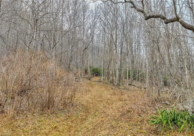 Photo 5 of Land for sale at Tbd 1 Three Top Rd, West Jefferson, NC 28694 | MLS# 1215433 | Listing updated on 2026-07-04