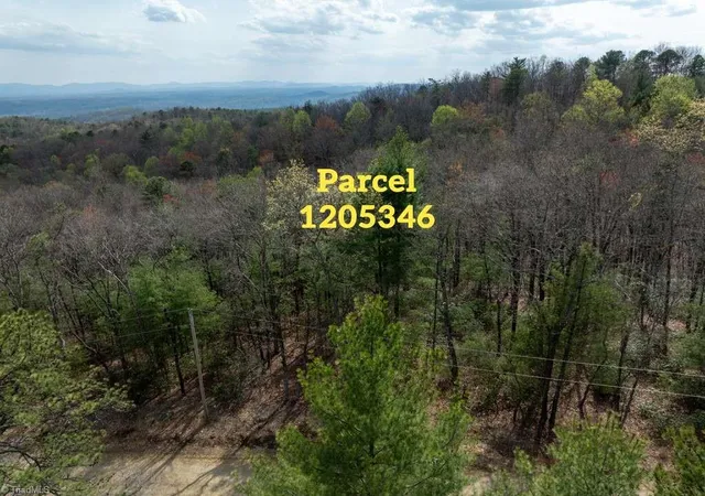 Homes for sale in Mc Grady, NC | 0 Chestnut Mountain Farms Pkwy, Mc Grady, NC 28649 | MLS# 1219146