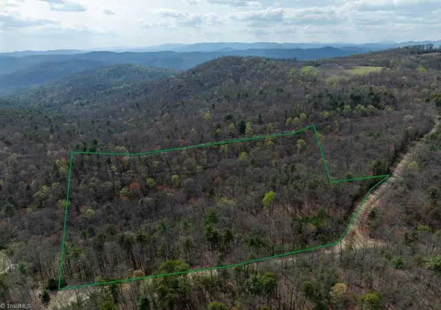 Homes for sale in Mc Grady, NC | 0 Chestnut Mountain Farms Pkwy, Mc Grady, NC 28649 | MLS# 1219146