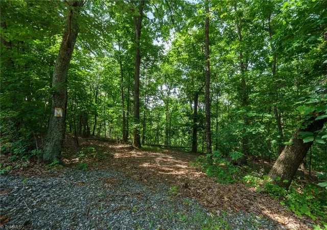 1st image of 00 Hendren Rd, Moravian Falls, NC 28654 | MLS# 1222815