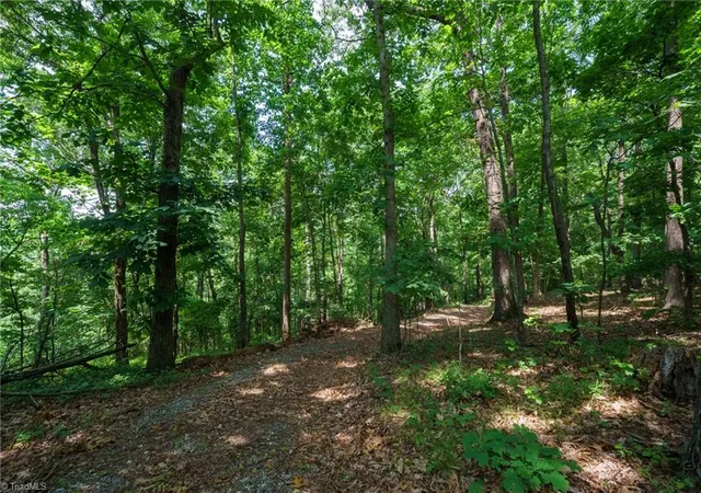 2nd image of 00 Hendren Rd, Moravian Falls, NC 28654 | MLS# 1222815