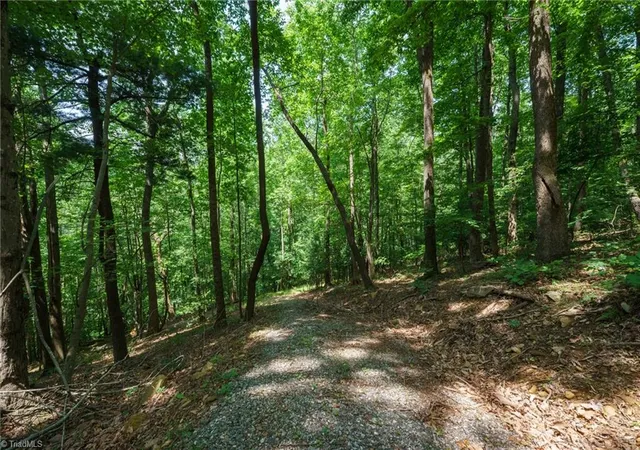 3rd image of 00 Hendren Rd, Moravian Falls, NC 28654 | MLS# 1222815