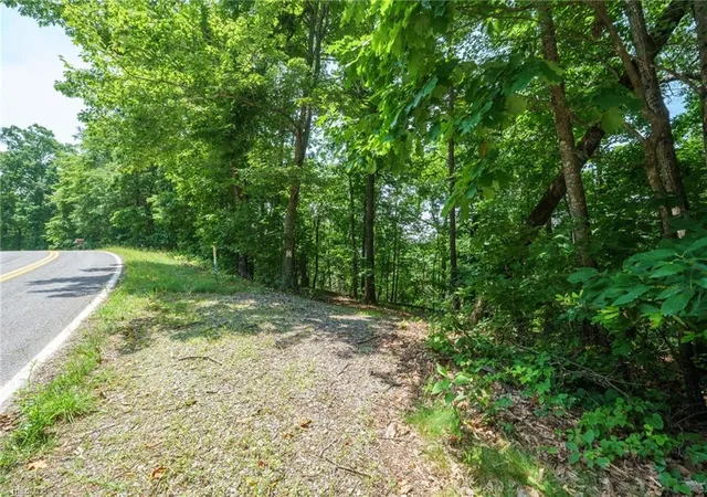 4th image of 00 Hendren Rd, Moravian Falls, NC 28654 | MLS# 1222815