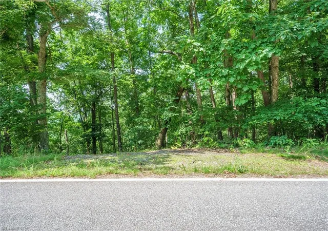 5th image of 00 Hendren Rd, Moravian Falls, NC 28654 | MLS# 1222815