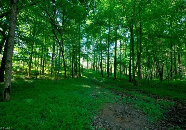 5th image of 0 Carson Rd, Cleveland, NC 27013 | MLS# 1224140