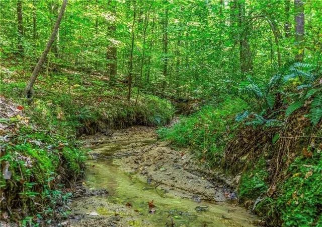 50th image of 7150 Belews Run Rd, Walnut Cove, NC 27052 | MLS# 1229547
