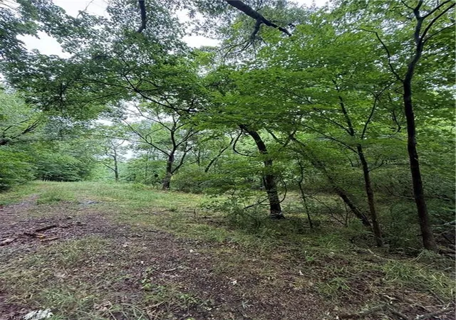 2nd image of 0 Pine Ridge Rd, China Grove, NC 28023 | MLS# 1222015