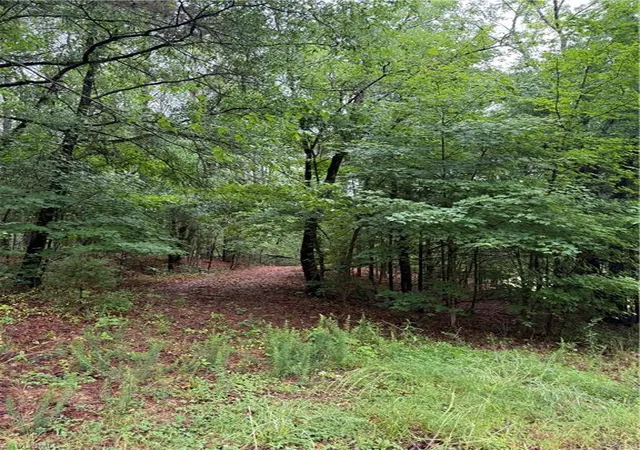 Photo 3 of Land for sale at 0 Pine Ridge Rd, China Grove, NC 28023 | MLS# 1222015 | Listing updated on 2026-05-24