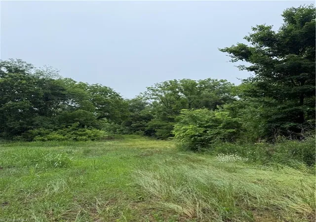 4th image of 0 Pine Ridge Rd, China Grove, NC 28023 | MLS# 1222015