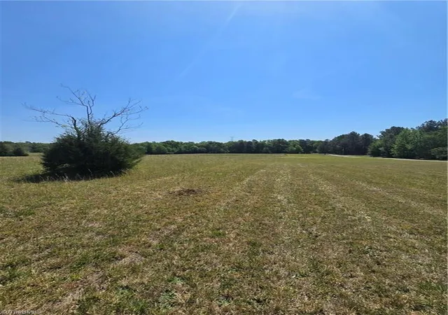 Homes for sale in Snow Camp, NC | 5022 Mt Hermon Rock Creek Rd, Snow Camp, NC 27349 | MLS# 1217875