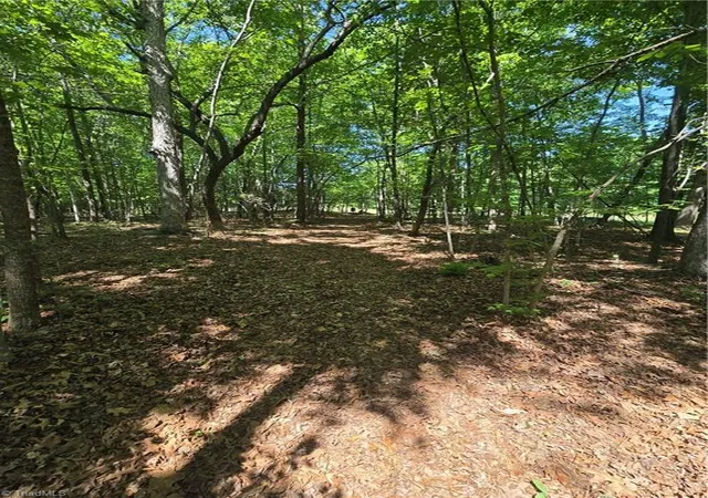 Homes for sale in Snow Camp, NC | 5022 Mt Hermon Rock Creek Rd, Snow Camp, NC 27349 | MLS# 1217875