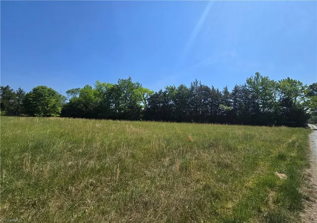 Homes for sale in Snow Camp, NC | 5022 Mt Hermon Rock Creek Rd, Snow Camp, NC 27349 | MLS# 1217875