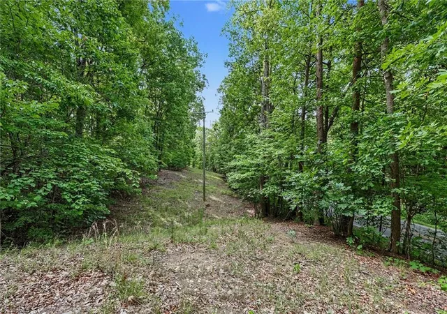 5th image of 0 Luck Rd, Asheboro, NC 27205 | MLS# 1228466