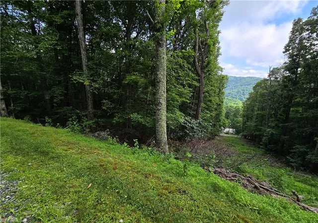 Photo 16 of Land for sale at Tbd Red Fox Trl, Boone, NC 28607 | MLS# 1188065 | Listing updated on 2026-07-01