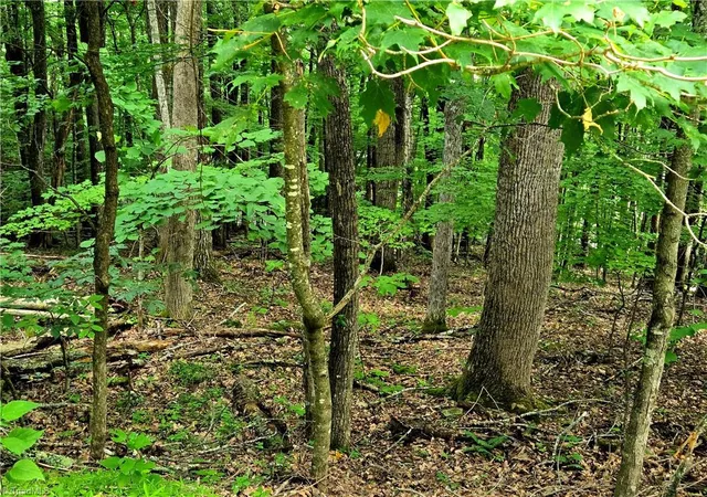 Photo 1 of Land for sale at Tbd Red Fox Trl, Boone, NC 28607 | MLS# 1188065 | Listing updated on 2026-07-01