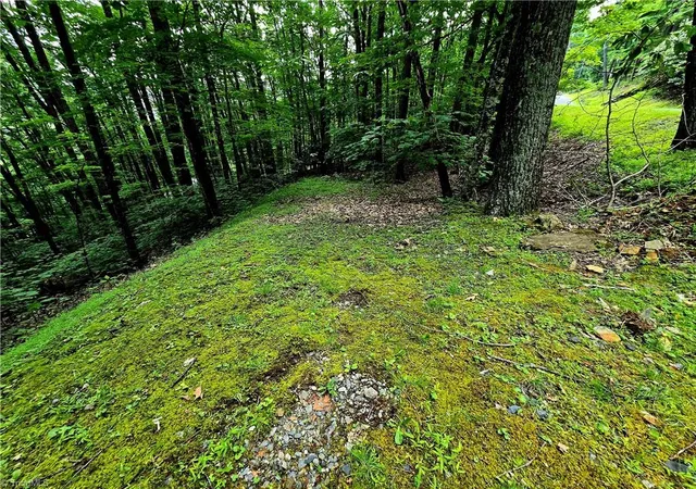 Photo 2 of Land for sale at Tbd Red Fox Trl, Boone, NC 28607 | MLS# 1188065 | Listing updated on 2026-07-01